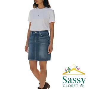 Banana Republic Indigo Mini Skirt Cotton Blend Stretch Petite 4P